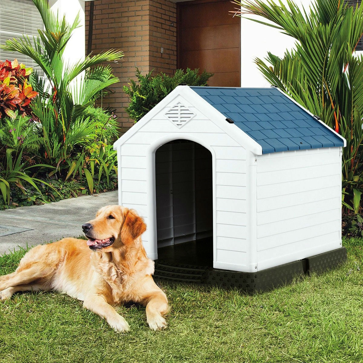 Medium size Outdoor Heavy Duty Blue and White Plastic Dog House-1